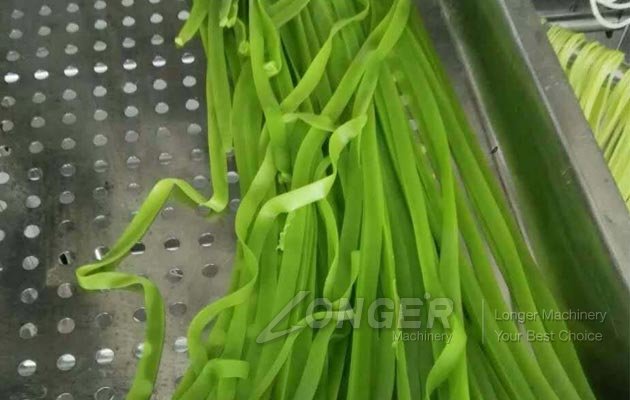 Vegetable Rice Noodle Maker Machine Manufacturer in China